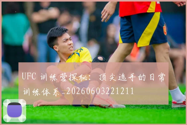 UFC 训练营探秘：顶尖选手的日常训练体系_20260603221211