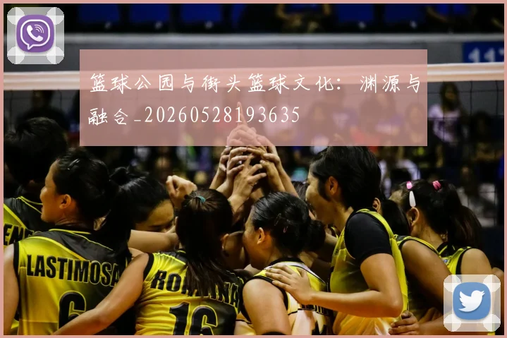 篮球公园与街头篮球文化：渊源与融合_20260528193635